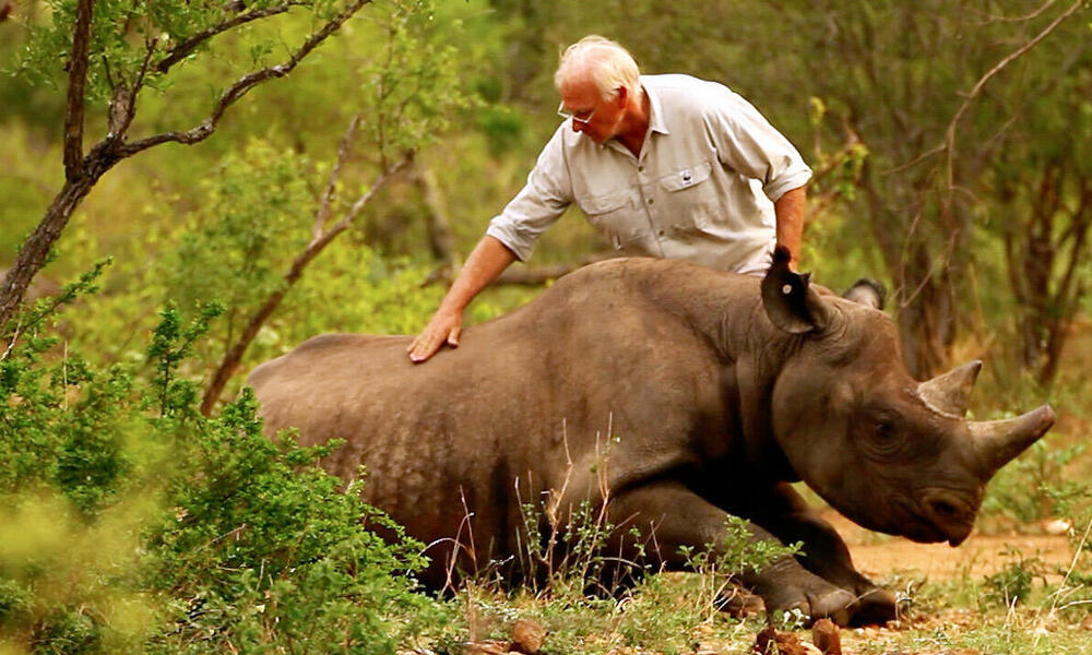Animal Conservation