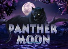 Panther Moon Slot Game