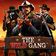 The Wild Gang Slot Game